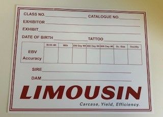 Limousin Shed Cards - With EBV's