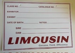 Limousin Exhibit Shed Cards - No EBV's