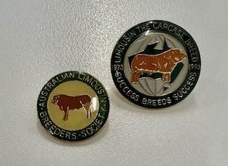 Metal Limousin Society Badge