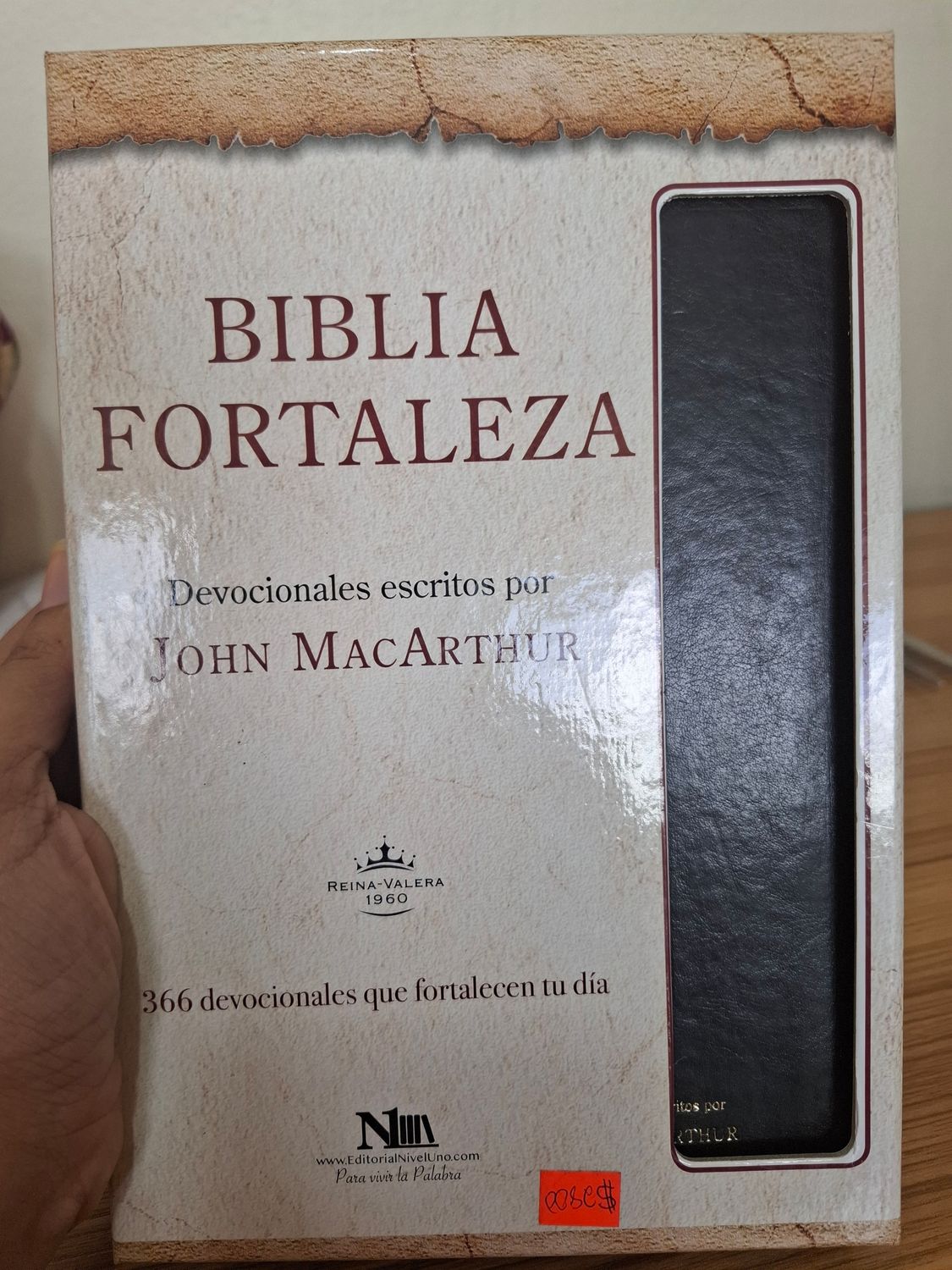 Biblia fortaleza 