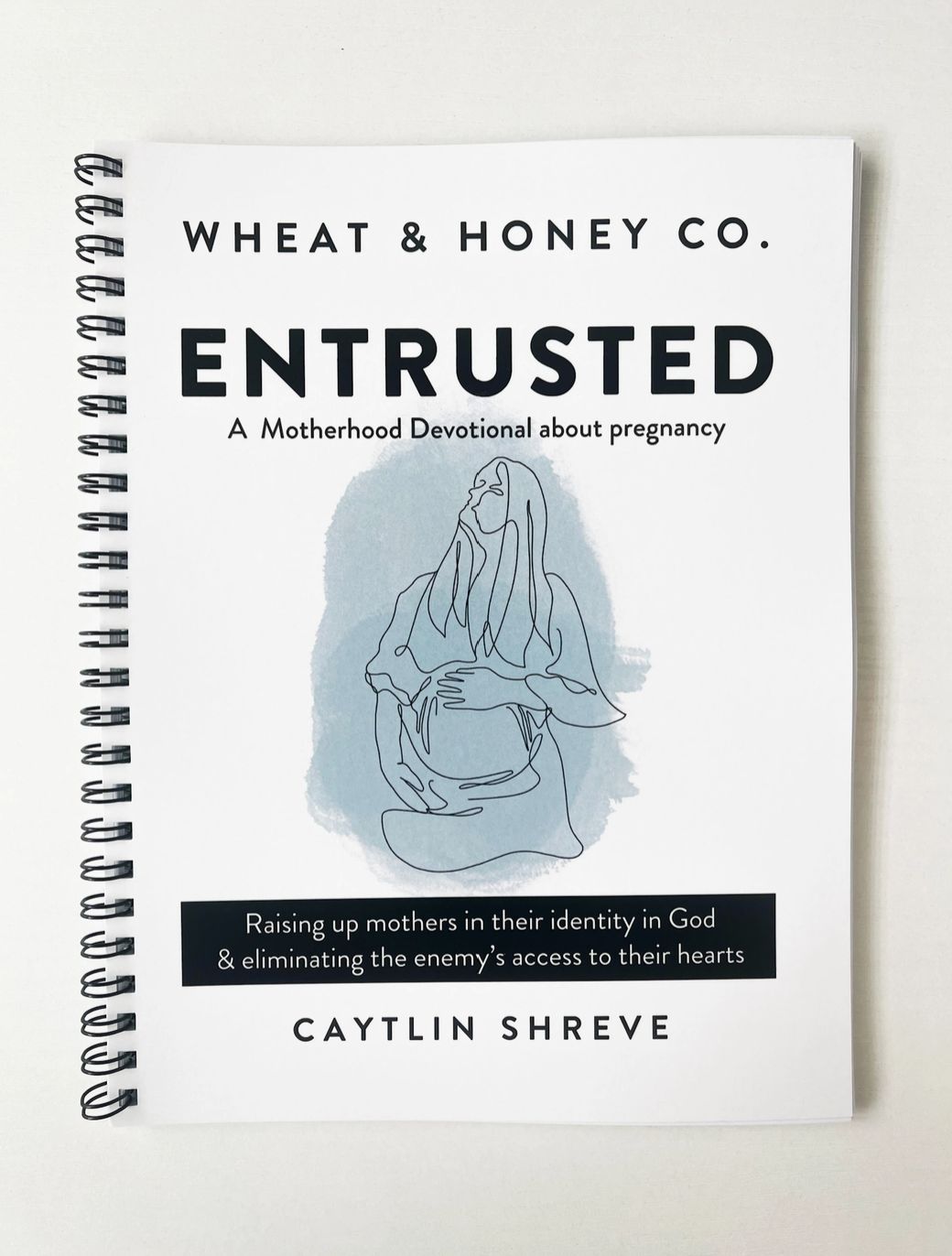 Entrusted: A Motherhood Devotional About Pregnancy