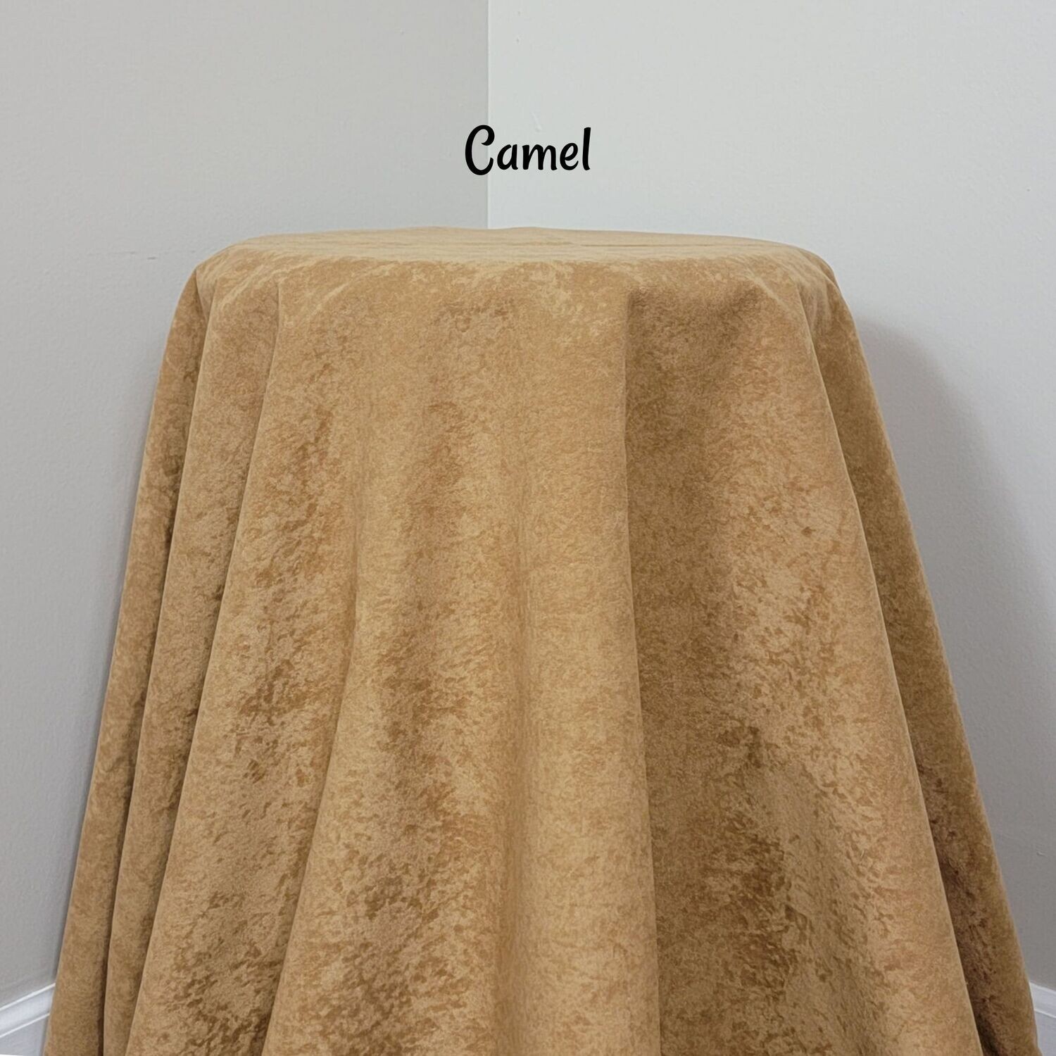 Camel