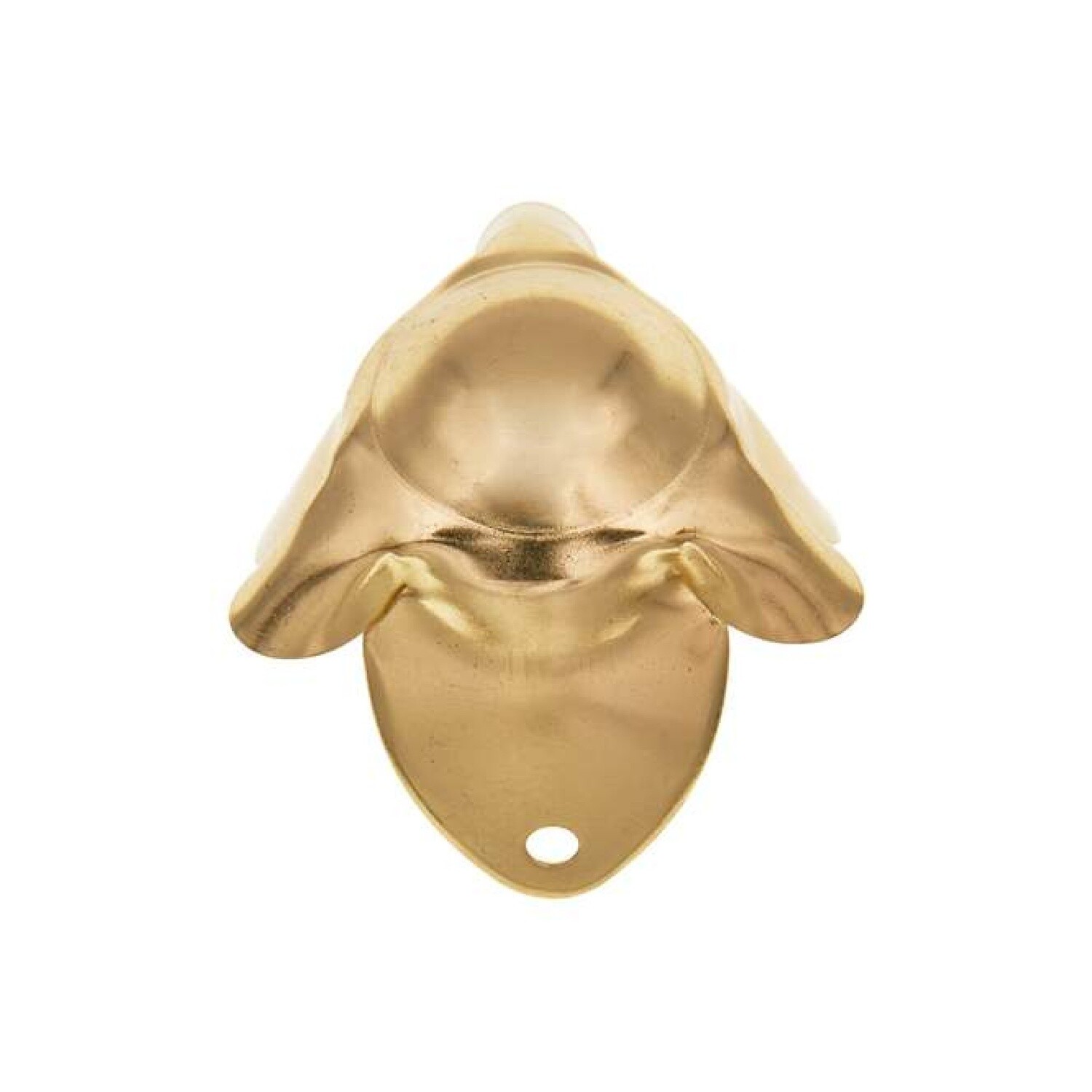 Large Trunk Corner Brass Plated