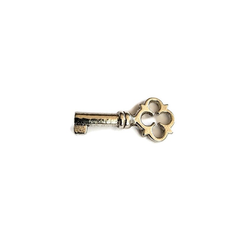 Small Key - Malleable Iron with Nickel Plate