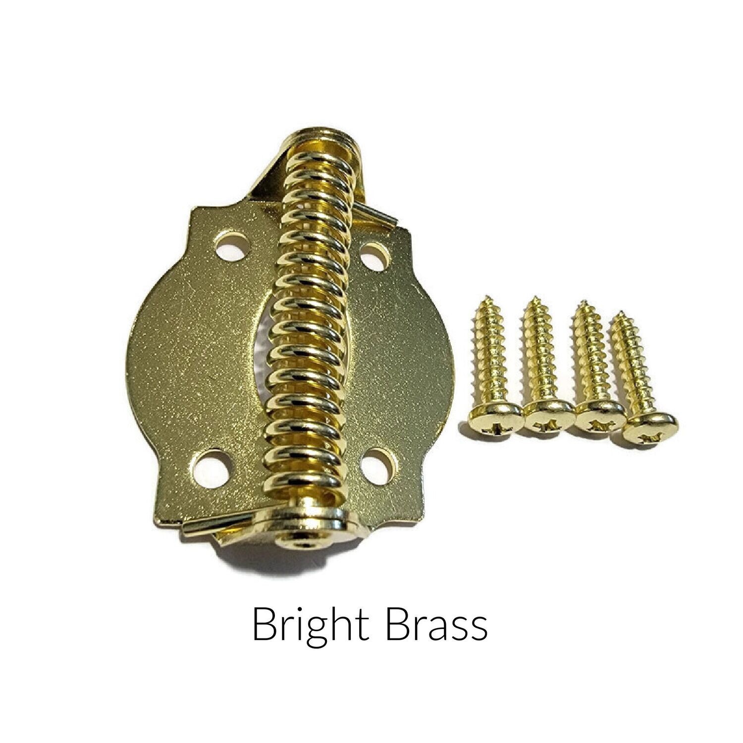 Spring Hinges available in five finishes - sold by the pair