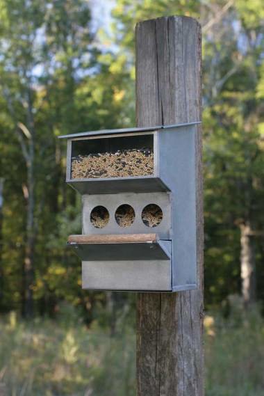 Backyard Buddies Bird feeder