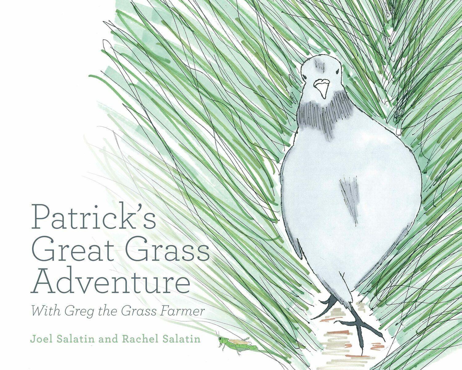 BOX OF BOOKS - Patrick&#39;s Great Grass Adventure