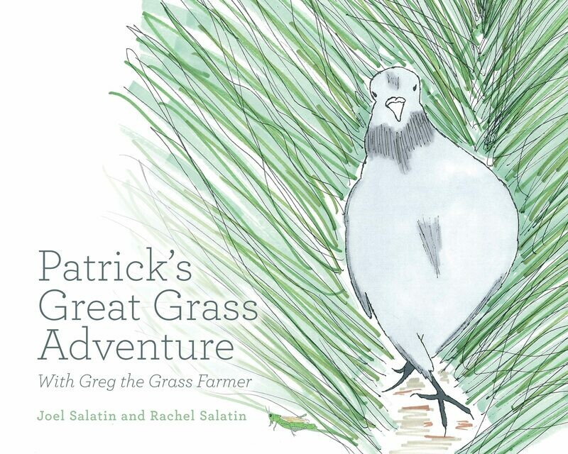 BOX OF BOOKS - Patrick&#39;s Great Grass Adventure
