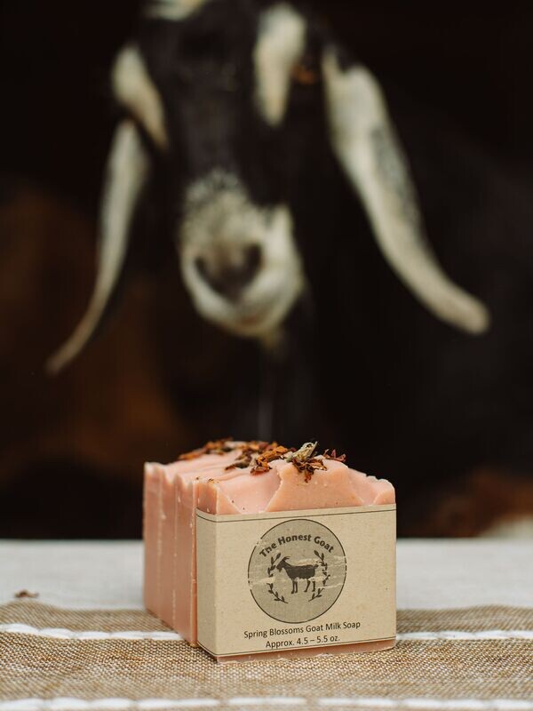 HONEST GOAT SOAP