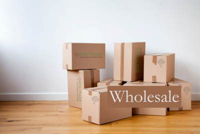 WHOLESALE BOOKS
