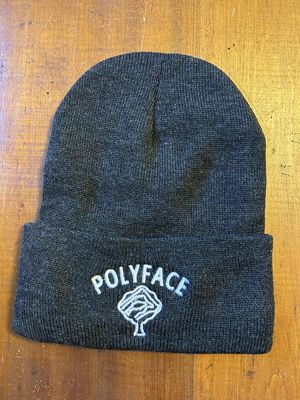 Polyface Beanie Hats