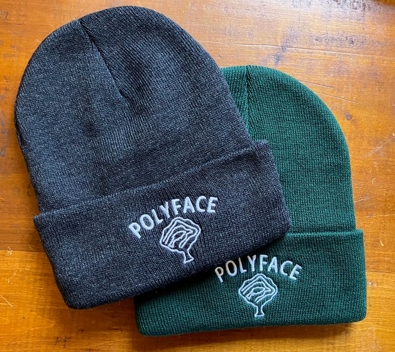 Polyface Beanie Hats