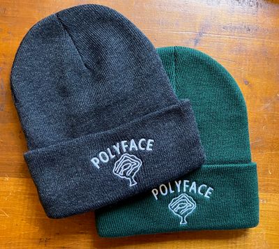 Polyface Beanie Hats