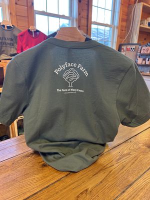 T-SHIRT- Everything I Want To Do Is Illegal