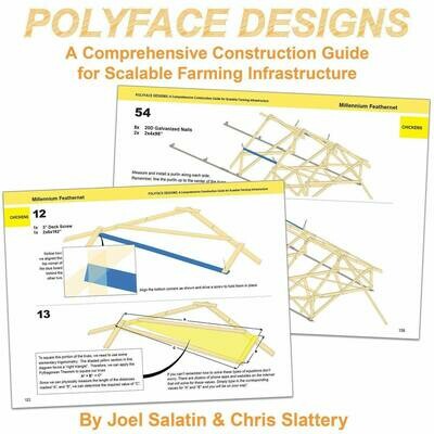 POLYFACE DESIGNS