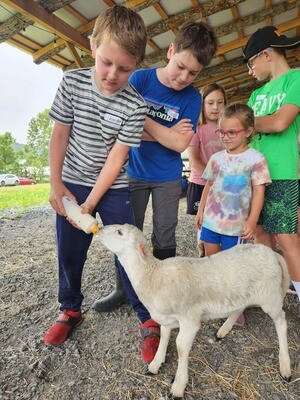 POLYFACE FARM CAMPS 2026