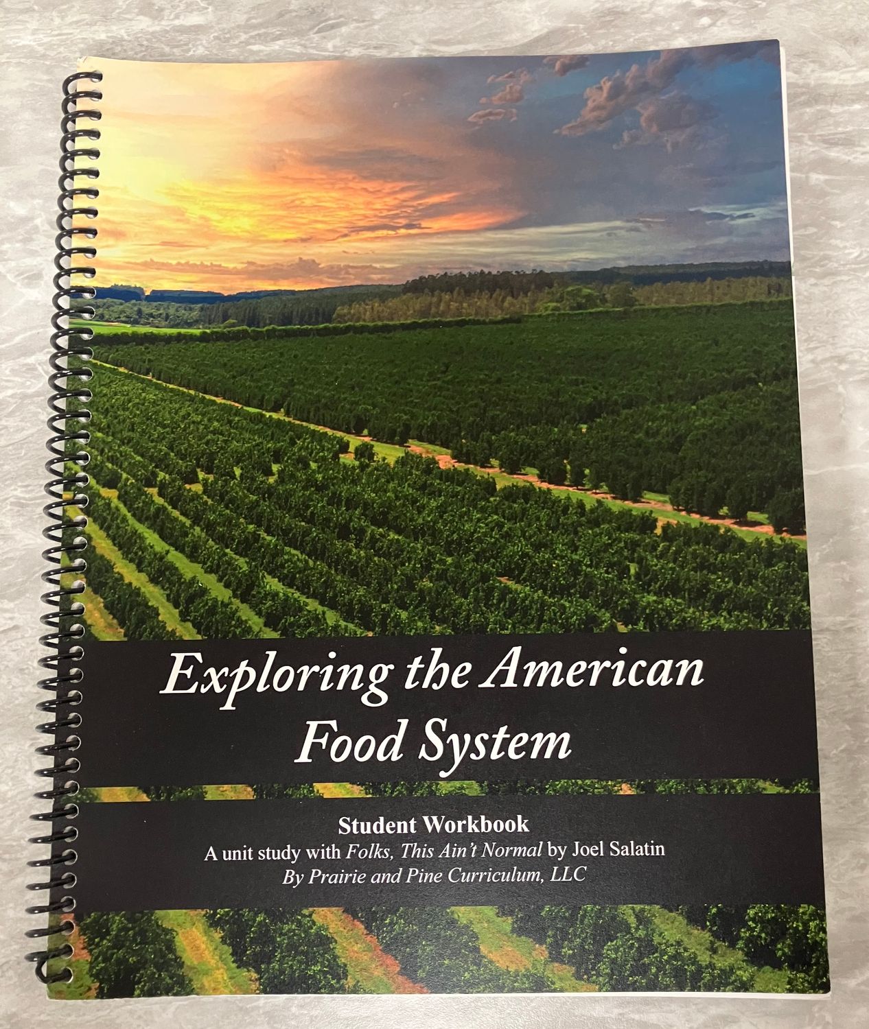 Folks, This Ain't Normal- Curriculum: STUDENT WORKBOOKS