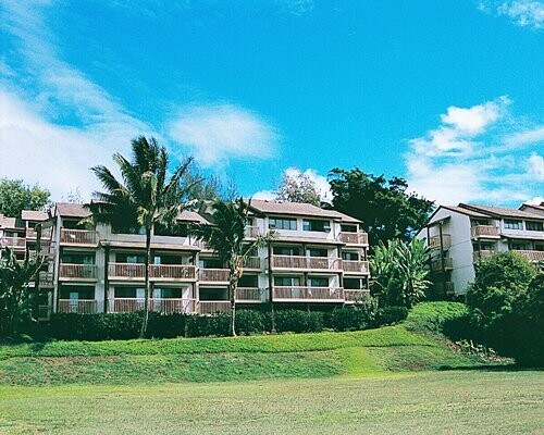 Banyan Harbor