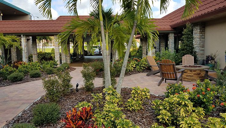 Magic Tree Resort