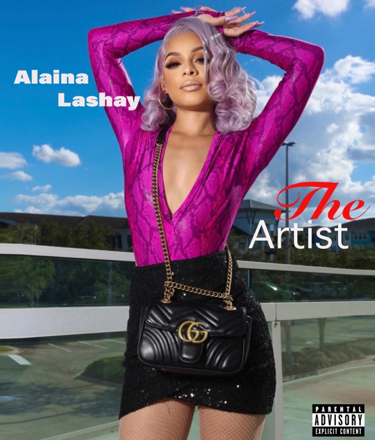 Alaina Lashay "New Album" -  A Hard Copy 20 song. (CD)
These songs will not be available anywhere else. No YouTube, No Spotify, No Internet, No Radio.  Limited Edition. read more for detail.