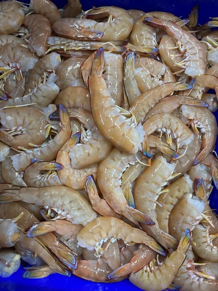 Large Headless Green King Prawns — Northern Rivers Seafood in West Ballina, NSW