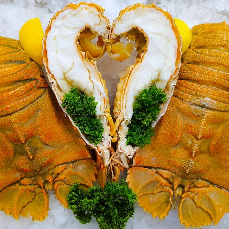 Cooked Medium Moreton Bay Bugs — Northern Rivers Seafood in West Ballina, NSW