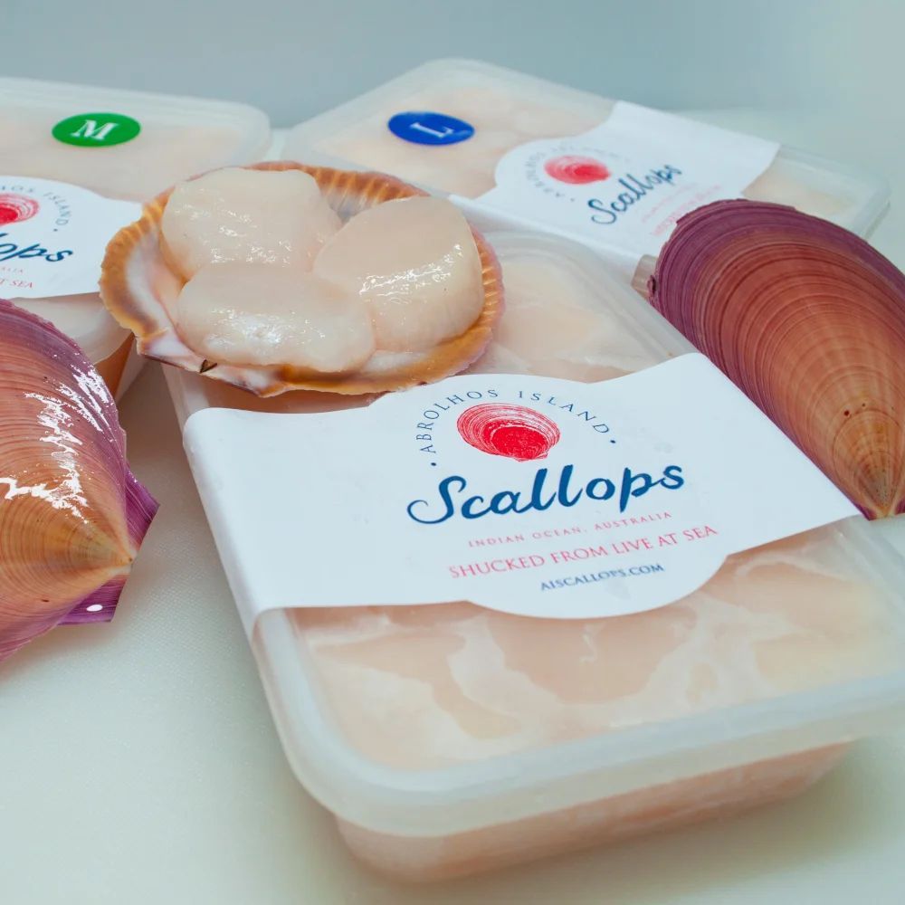 Premium Grade WA Scallop Meat- 400gm — Northern Rivers Seafood in West Ballina, NSW
