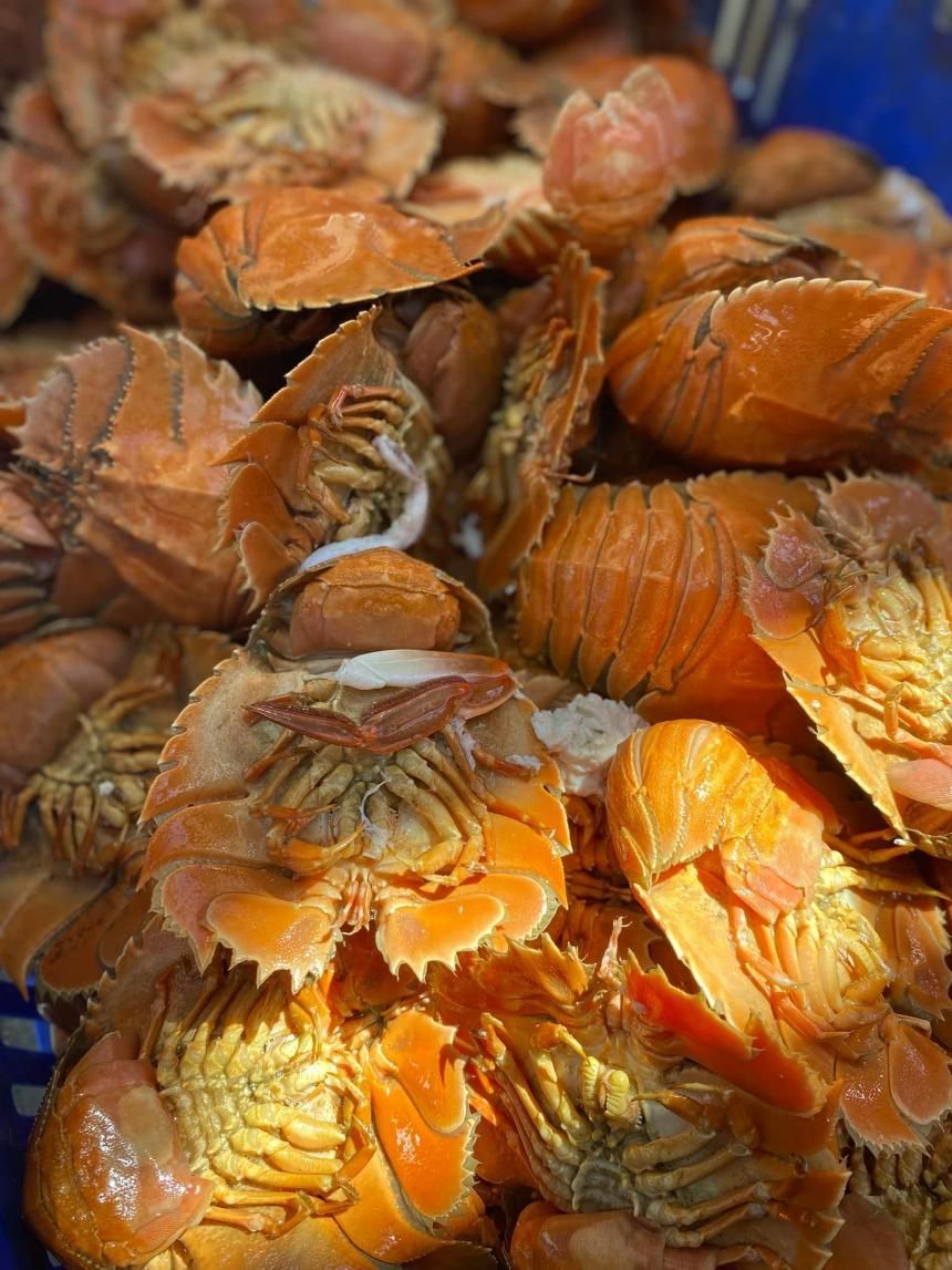 Raw Balmain Bugs — Northern Rivers Seafood in West Ballina, NSW