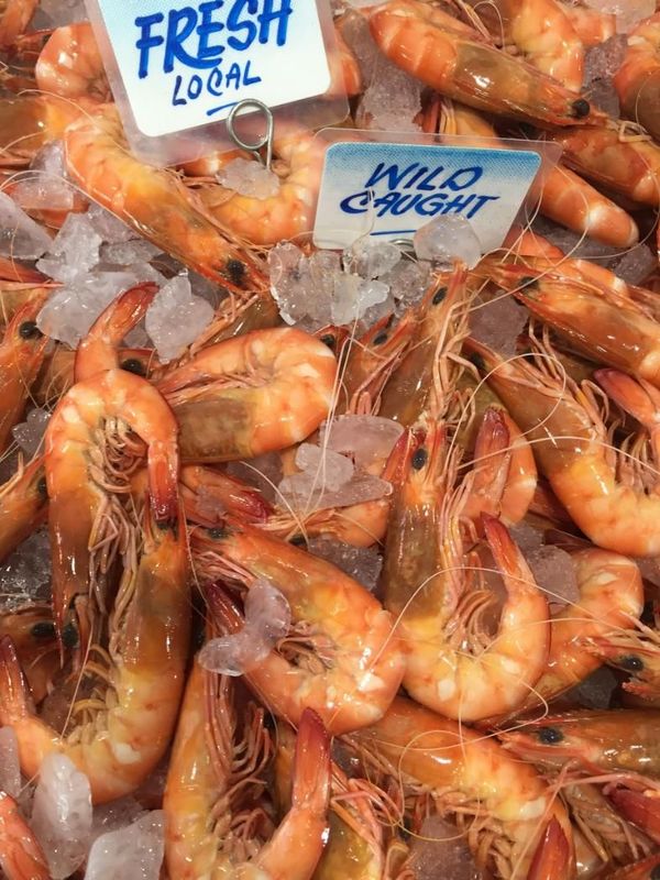 Prawns — Northern Rivers Seafood in West Ballina, NSW