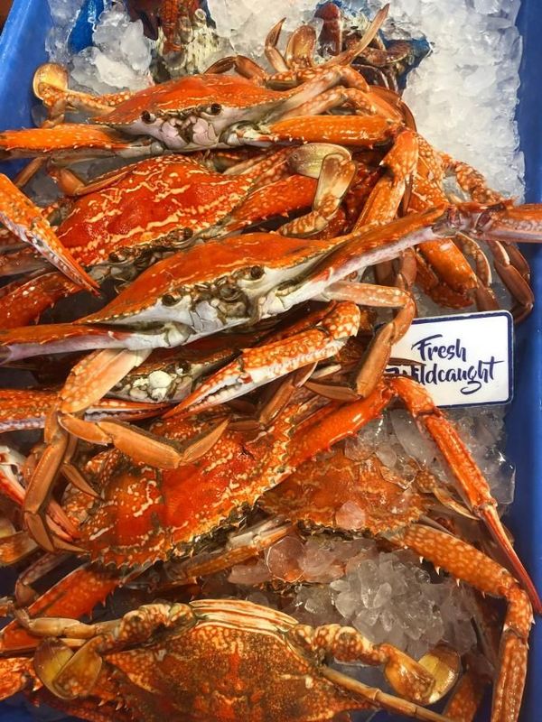 Crabs — Northern Rivers Seafood in West Ballina, NSW