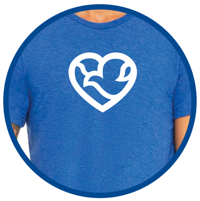 Methodist Health System