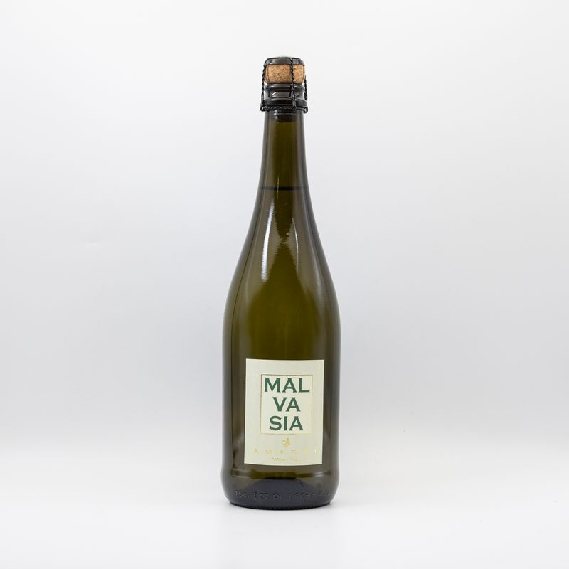 Malvasia dell’Emilia – IGT Secco - frizzante.