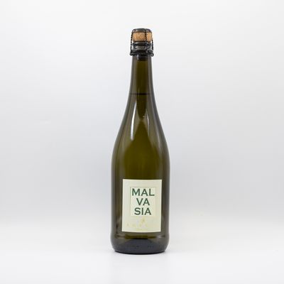Malvasia dell’Emilia – IGT Secco - frizzante.