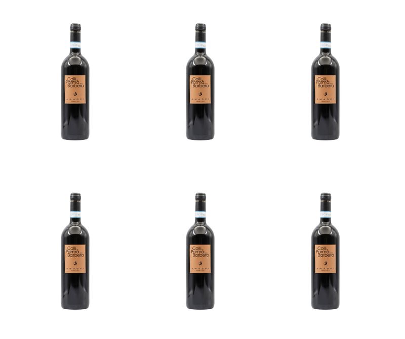 Cartone da 6 bottiglie - Colli di Parma Barbera barricato - D.O.C. Secco – tranquillo