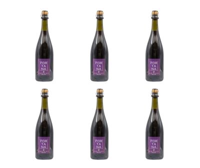 Cartone da 6 bottiglie - Fortana dell’Emilia - I.G.T. “dolce” - frizzante.