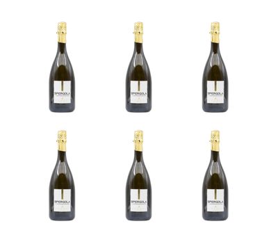 Cartone da 6 Bottiglie - Spumante Spergola