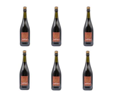 Cartone da 6 bottiglie - Lambrusco dell’Emilia - I.G.T. “Schiuma Rossa” - frizzante.