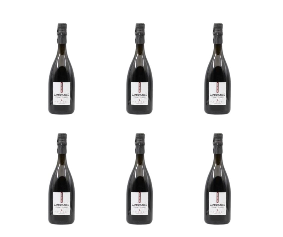 Cartone da 6 bottiglie - Lambrusco dell’Emilia - I.G.T. “Progetto.Zero” - frizzante.