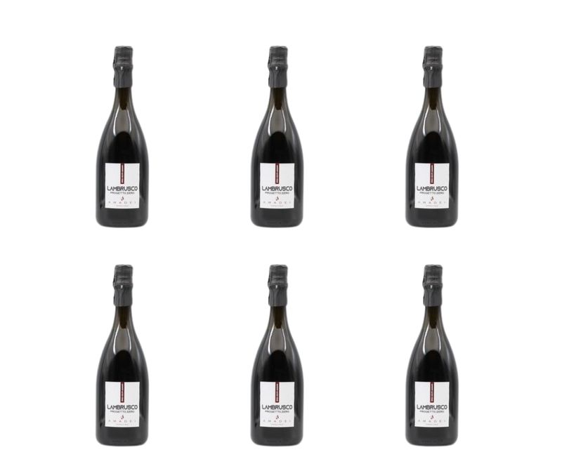 Cartone da 6 bottiglie - Lambrusco dell’Emilia - I.G.T. “Progetto.Zero” - frizzante.