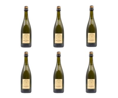 Cartone da 6 bottiglie - Malvasia dell’Emilia – IGT Dolce - frizzante.