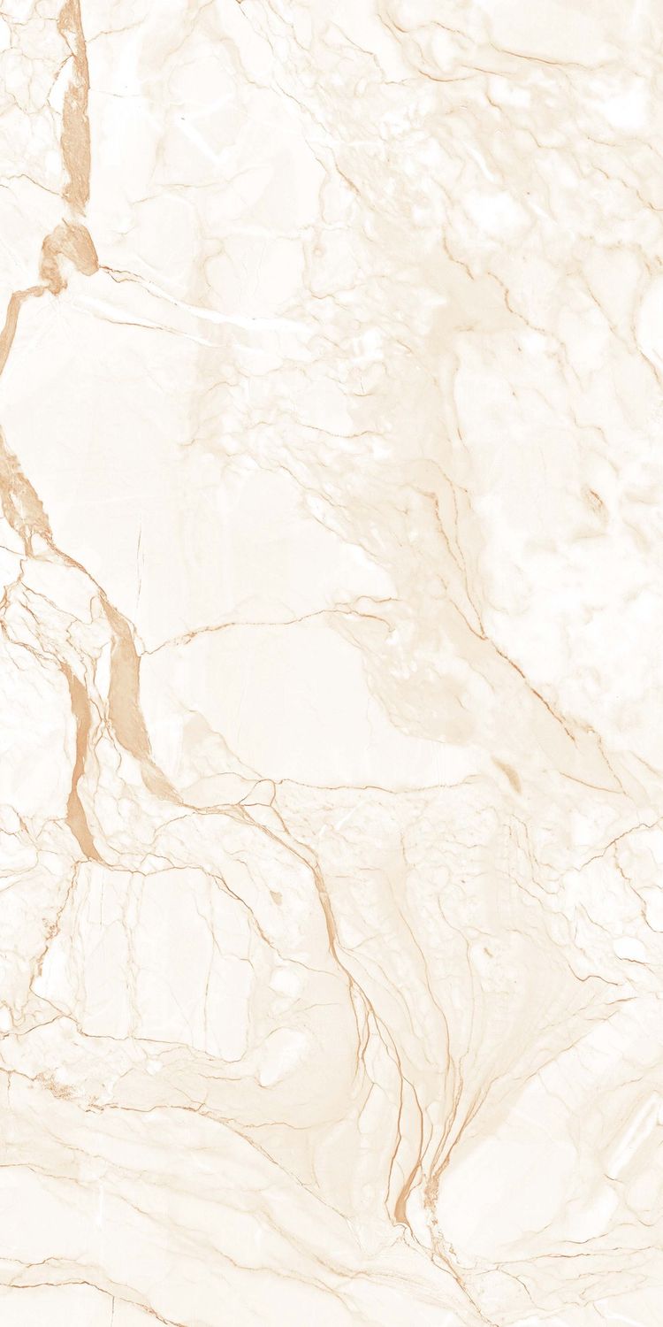 Himaliya Ivory Tile 24x48 16SQFT