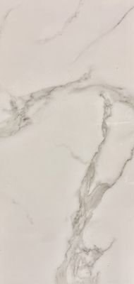 Calcutta Aline Tile 12x24  16SQFT