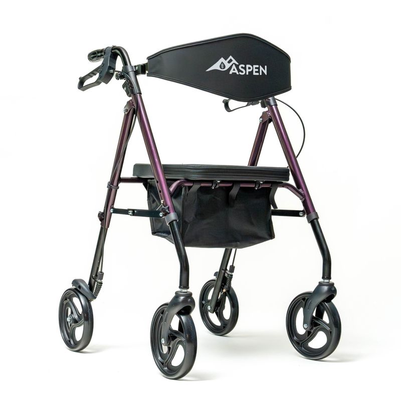 PRO BASIC ASPEN ROLTR 8" WHLS