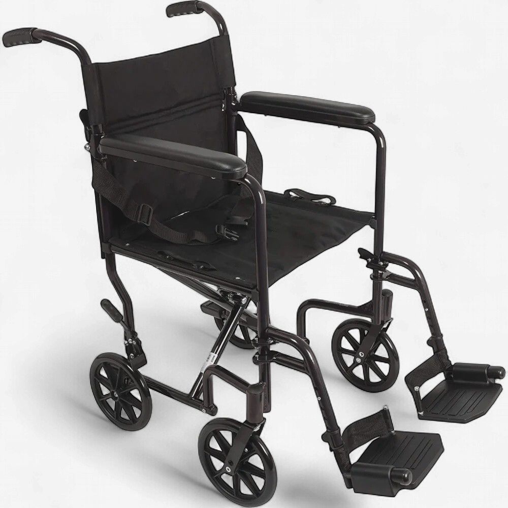 PRO BASIC TRNSP CHR 19" ALUM. BLK