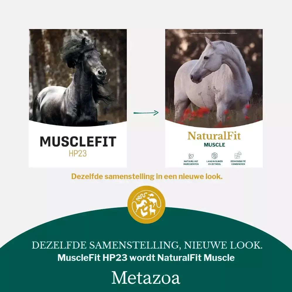 Natural Fit Muscle