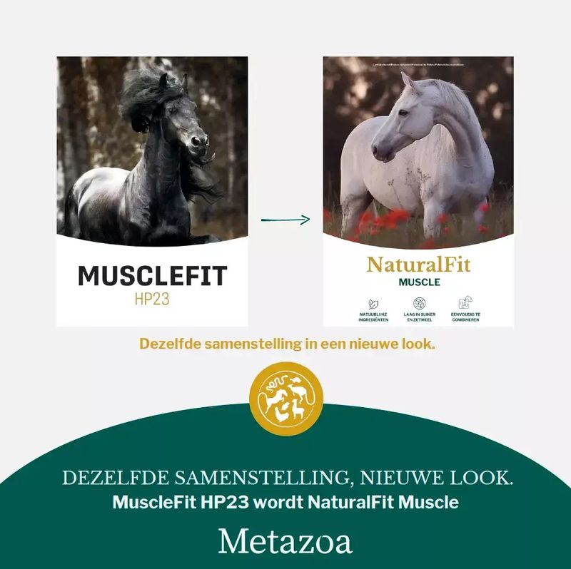 Natural Fit Muscle