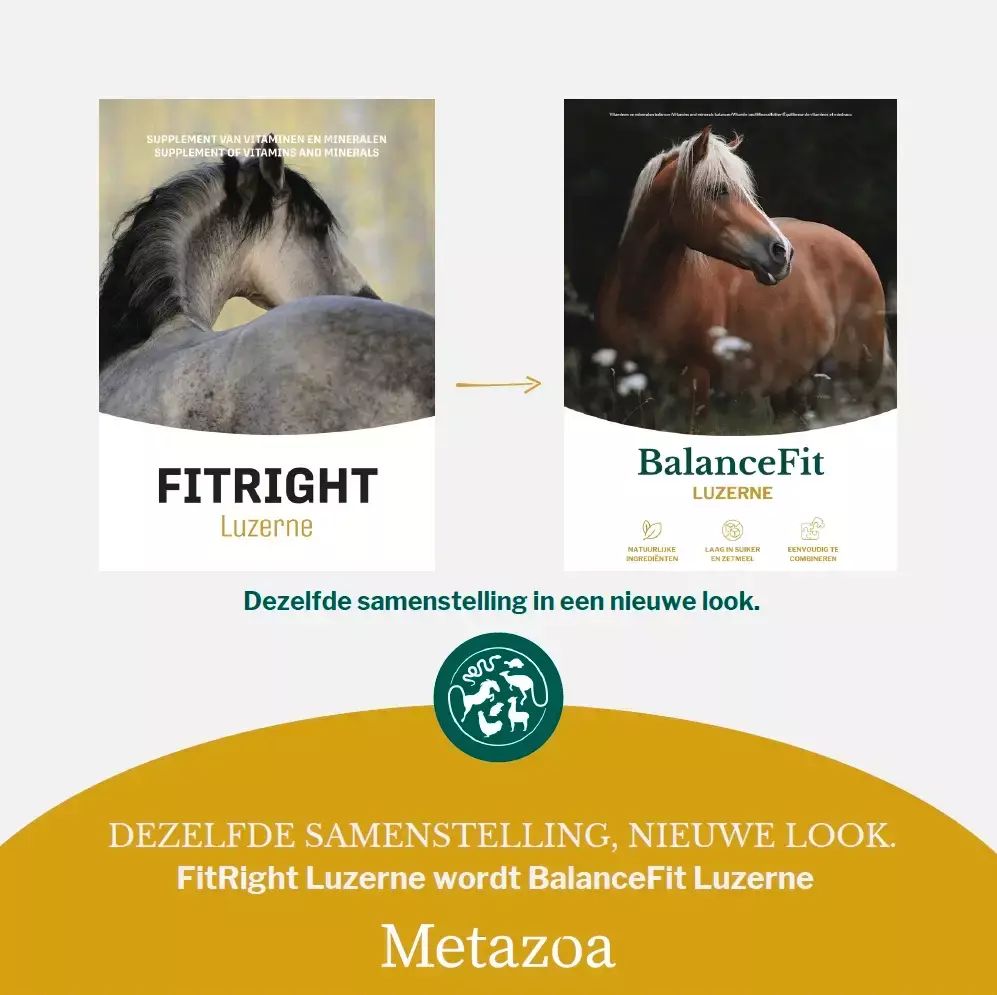 BALANCE FIT