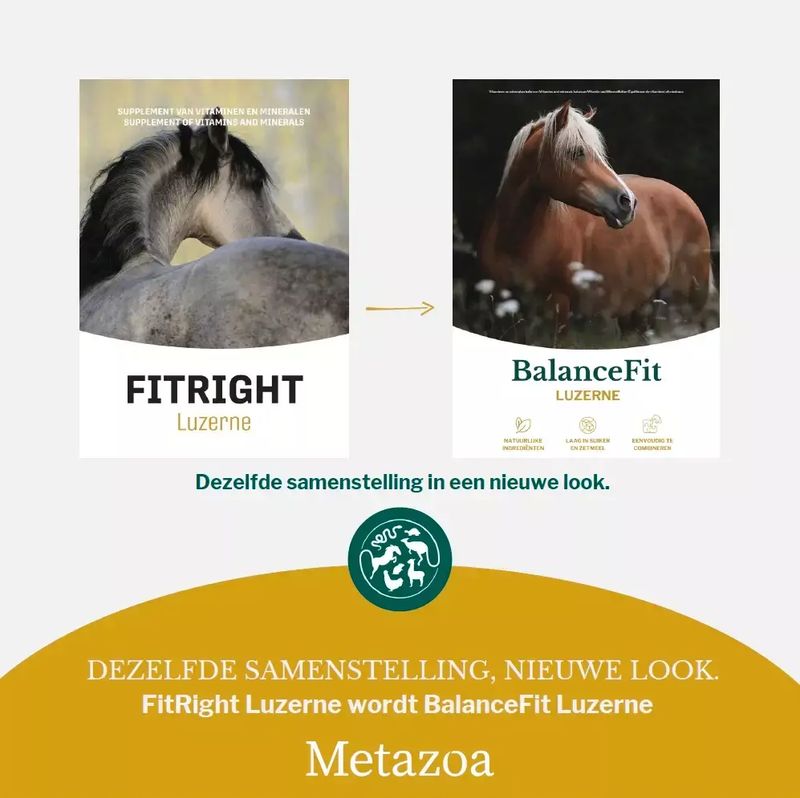 BALANCE FIT