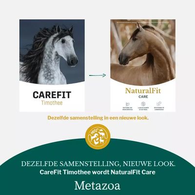Metazoa