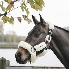 Accessoires wassen